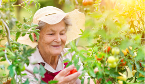 Spring into new hobbies