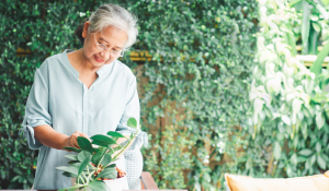 Seniors Gardening in the Spring 